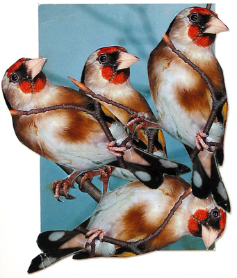 1981_1990\1982.0329.jpg; 1982.0329; ;